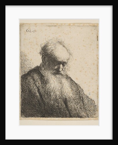 Bust of an Old Man with Flowing Beard: the Head Inclined Three-Quarters Right, 1630 by Rembrandt Harmensz van Rijn