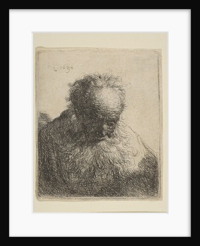 Bust of an Old Man with a Flowing Beard: the Head Bowed Forward: Left Shoulder Unshaded, 1630 by Rembrandt Harmensz van Rijn