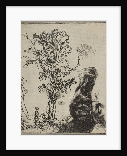 Sheet with Two Studies: A Tree and the Upper Part of a Head of Rembrandt Wearing a Vel…, ca. 1642 by Rembrandt Harmensz van Rijn