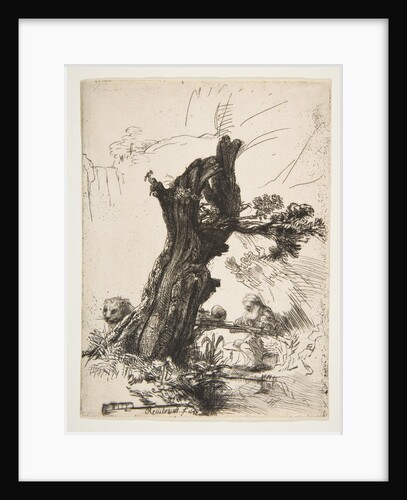 St. Jerome beside a Pollard Willow, 1648 by Rembrandt Harmensz van Rijn
