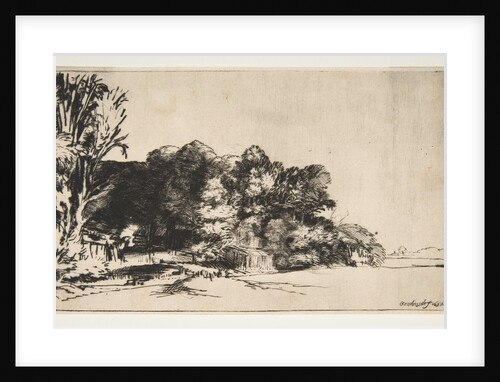 Clump of Trees with a Vista, 1652 by Rembrandt Harmensz van Rijn