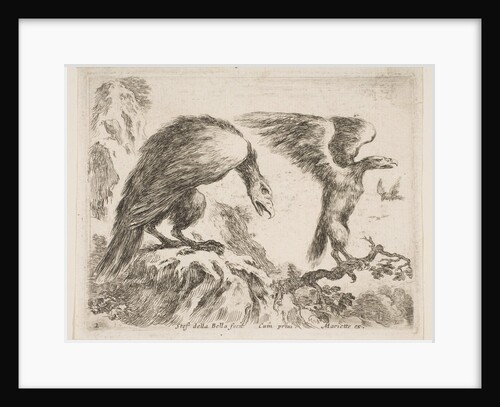 Plate 2: eagle and eaglet, from 'Various animals', ca. 1641 by Stefano della Bella