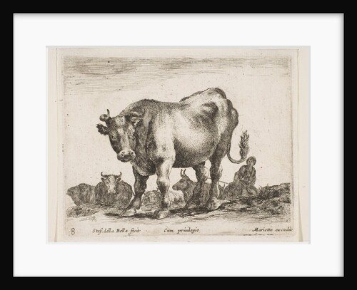 Plate 8: cow, from 'Various animals', ca. 1641 by Stefano della Bella