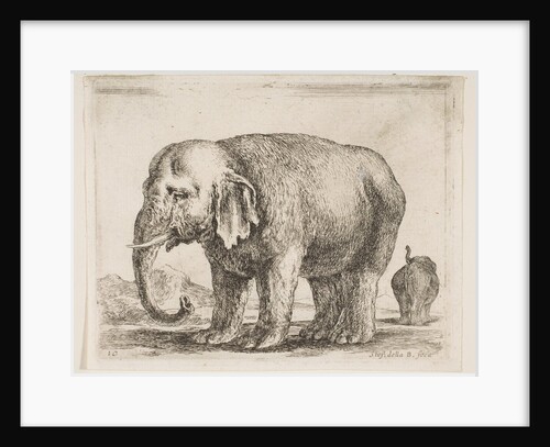 Plate 10: elephant, from 'Various animals', ca. 1641 by Stefano della Bella