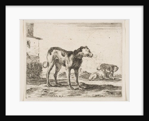 Plate 11: dogs, from 'Various animals', ca. 1641 by Stefano della Bella
