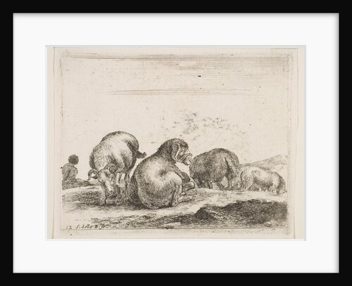 Plate 12: sheep and ram in a pasture, from 'Various animals', ca. 1641 by Stefano della Bella
