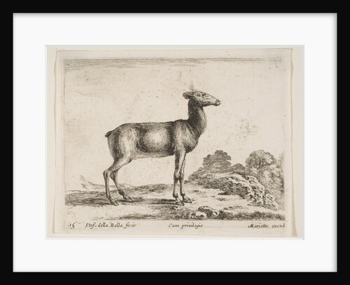 Plate 15: doe, from 'Various animals', ca. 1641 by Stefano della Bella