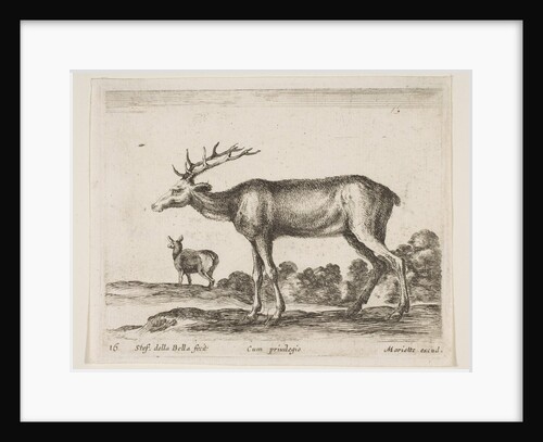 Plate 16: stag, from 'Various animals', ca. 1641 by Stefano della Bella