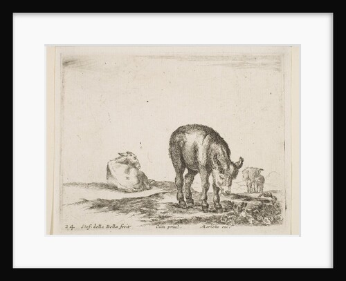 Plate 24: donkeys, from 'Various animals', ca. 1641 by Stefano della Bella
