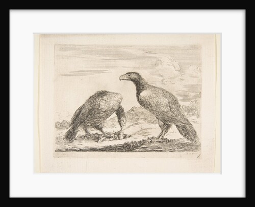 Two eagles, one devouring a lamb, from 'Eagles', ca. 1651 by Stefano della Bella