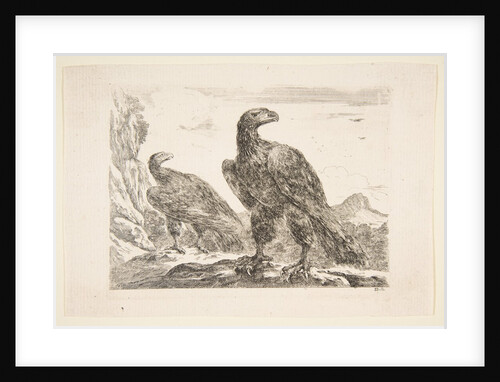 Two eagles, from 'Eagles', ca. 1651 by Stefano della Bella