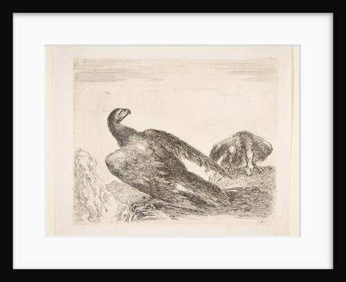 Two eagles, one with prey, from 'Eagles', ca. 1651 by Stefano della Bella