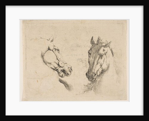 Two Horse Heads, ca. 1649 by Stefano della Bella