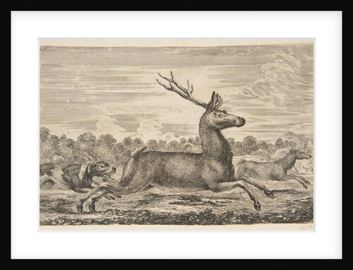 Hounds Chasing a Stag and a Doe, ca. 1654 by Stefano della Bella