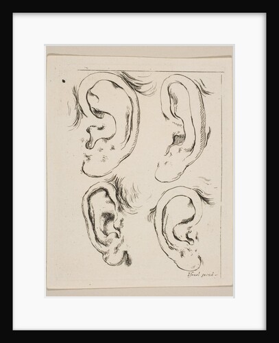 Plate 5: four ears, from 'The Book for Learning to Draw by Stefano della Bella