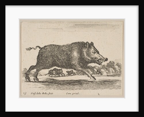 Plate 19: wild boar, from 'Various animals', ca. 1641 by Stefano della Bella
