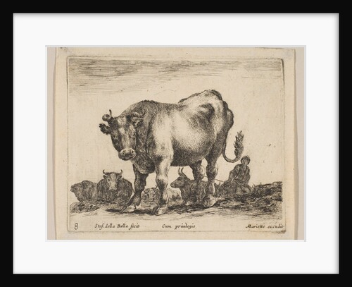 Plate 8: ox, from 'Various animals', ca. 1641 by Stefano della Bella