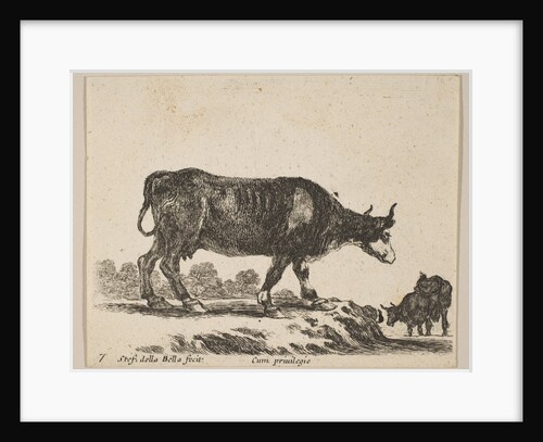 Plate 7: cow, from 'Various animals', ca. 1641 by Stefano della Bella