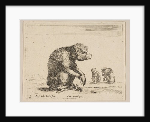 Plate 3: seated monkey, from 'Various animals', ca. 1641 by Stefano della Bella