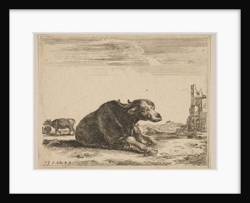 Plate 13: buffalo lying down, from 'Various animals', ca. 1641 by Stefano della Bella