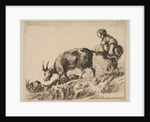 Plate 14: shepherdess herding goats, ca. 1641 by Stefano della Bella