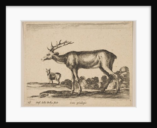 Plate 16: stag, from 'Various animals', ca. 1641 by Stefano della Bella