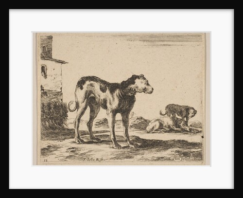 Plate 11: dogs, from 'Various animals', ca. 1641 by Stefano della Bella