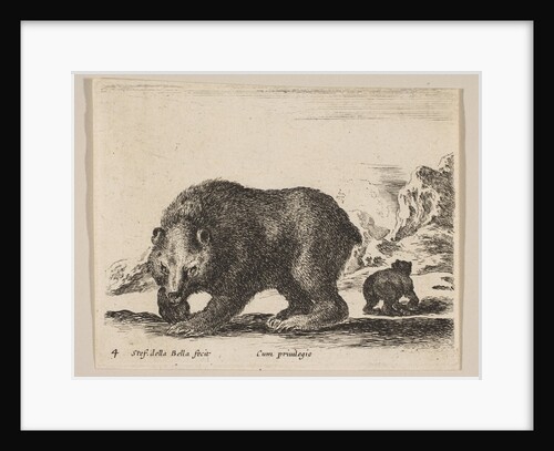 Plate 4: bear, from 'Various animals', ca. 1641 by Stefano della Bella