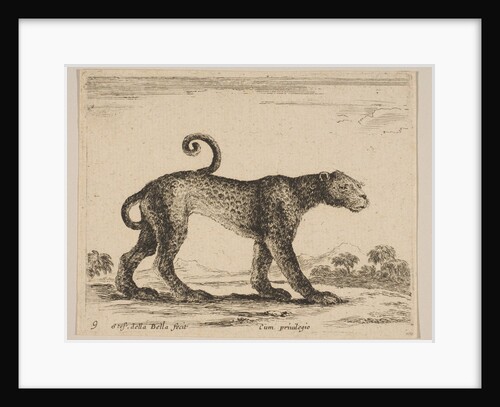 Plate 9: leopard, from 'Various animals', ca. 1641 by Stefano della Bella