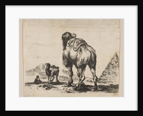 Plate 18: camel viewed from behind with pyramid at right, from 'Various animals', after 1641 by Unknown