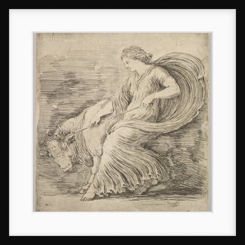 A woman in profile pulling back on a rope tied around the horns of a young bull, ca. 1660 by Stefano della Bella