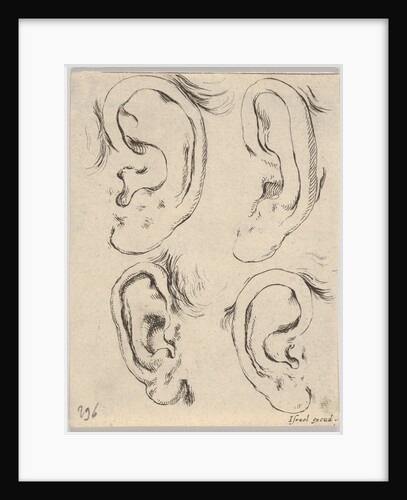 Plate 5: four ears, from 'The Book for Learning to Draw by Stefano della Bella