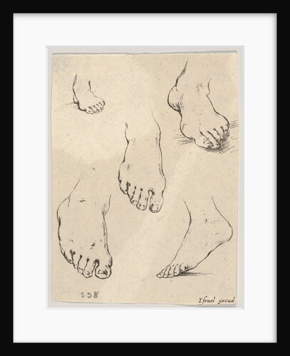 Plate 7: Five feet, from 'The Book for Learning to Draw by Stefano della Bella