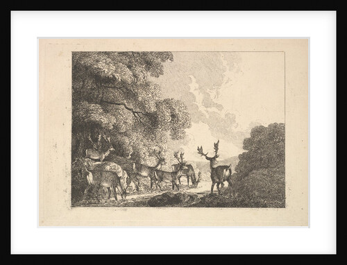 A Group of Stags Drinking, 1784-88 by Thomas Rowlandson