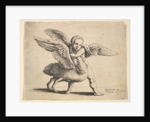 Cupid and the swan, 1652 by Wenceslaus Hollar