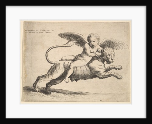 Cupid on a tiger, 1652 by Wenceslaus Hollar