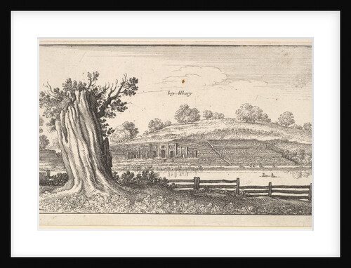Albury with tree-stump in foreground, 1625-77 by Wenceslaus Hollar