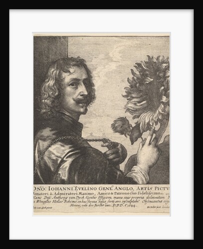 Sir Anthony van Dyck with a sunflower, 1644 by Wenceslaus Hollar