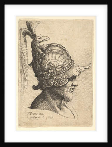 Helmeted Head wtih Bird's Head Crest, 1645 by Wenceslaus Hollar