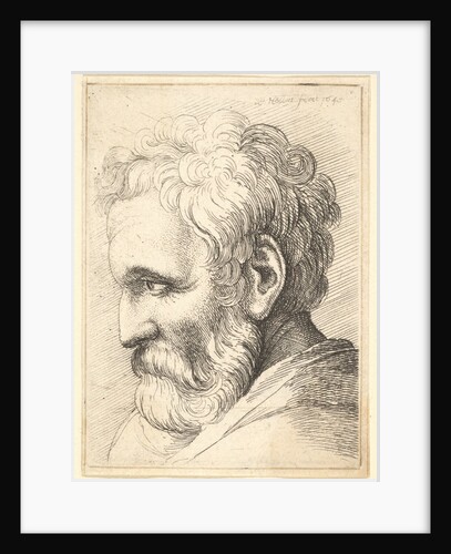 Bearded old man, 1645 by Wenceslaus Hollar