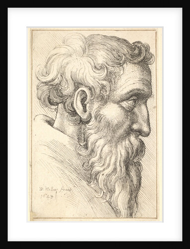 Bearded old man in profile to right, 1645 by Wenceslaus Hollar