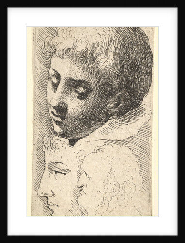 Three heads, 1645 by Wenceslaus Hollar