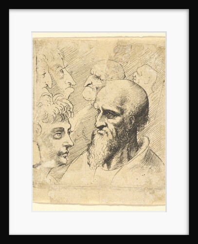 Diversae Probae, 1645 by Wenceslaus Hollar