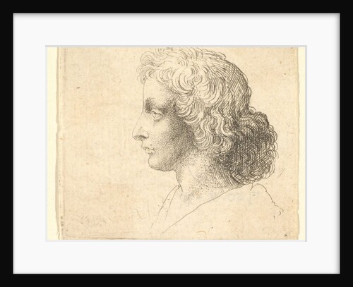 Head of young man with long hair in profile to the left, 1644-52 by Wenceslaus Hollar