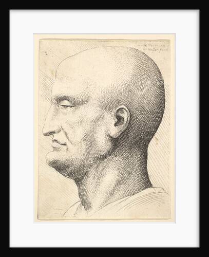 Head of a bald man in profile to left, 1644-52 by Wenceslaus Hollar
