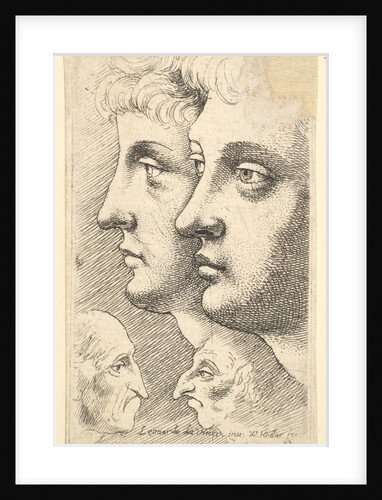 Two youths in profile to left with two grotesque heads facing each other below, 1625-77 by Wenceslaus Hollar