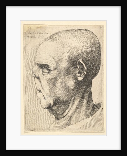 Grotesque old man with flattened nose in profile to left, 1625-77 by Wenceslaus Hollar