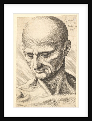 Head of a bald, sinewy man looking downwards, 1648 by Wenceslaus Hollar