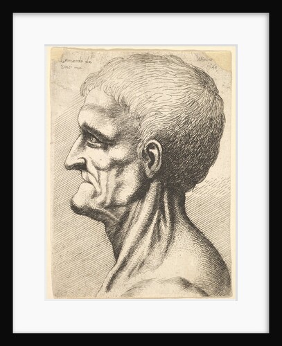 Head of a toothless man with bare, sinewy neck in profile to left, 1648 by Wenceslaus Hollar