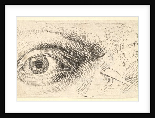 Two eyes and two heads, 1644-52 by Wenceslaus Hollar